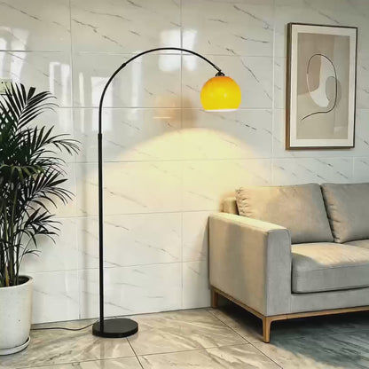 Modern Black Arc Dome Floor Lamp